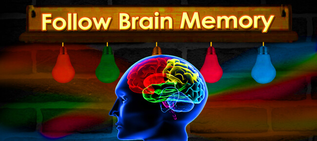 brain app brain app